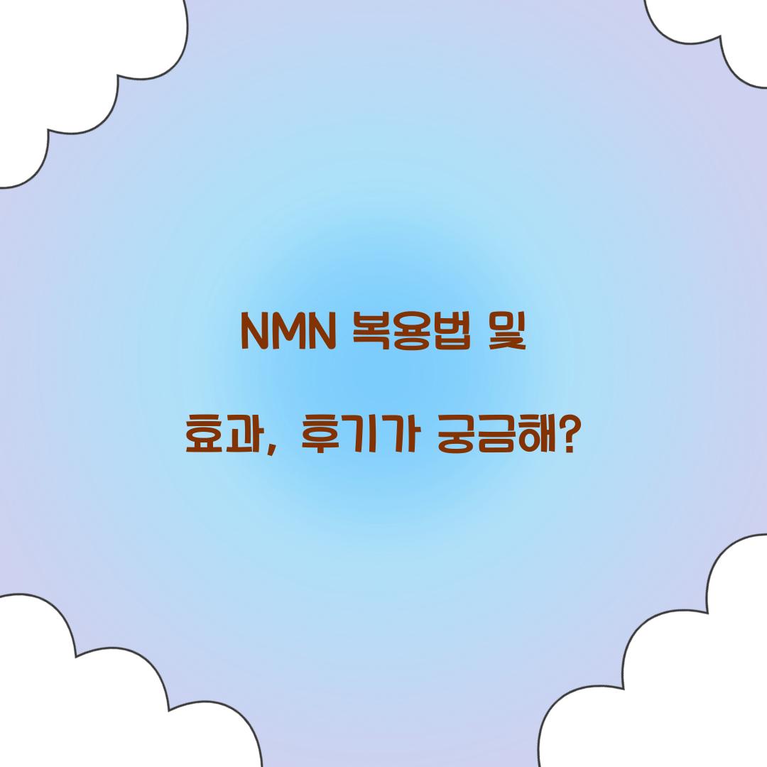nmn 복용법