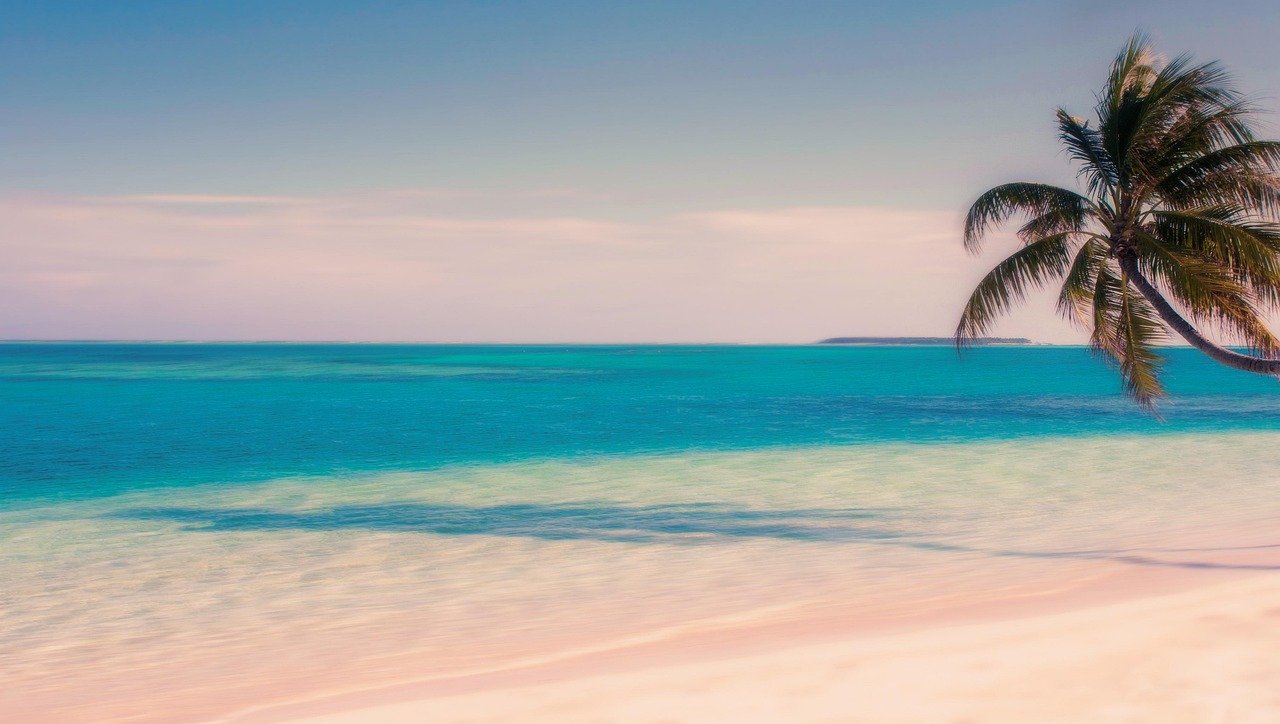 디지털 디톡스 여행을 위한 준비물 체크리스트