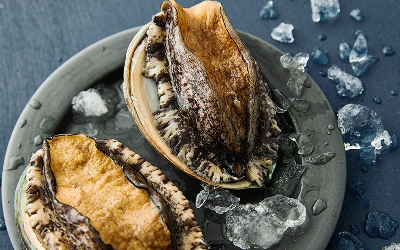 2024 대한민국 수산대전 쿠폰 받기 온라인 오프라인