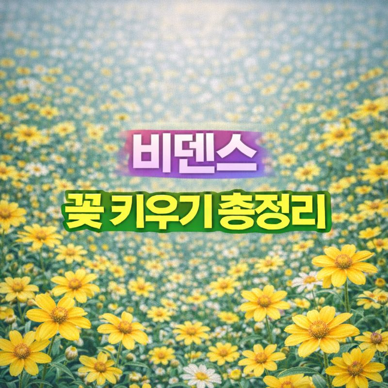 비덴스 키우기, 꽃말·씨앗 파종시기·번식·가지치기·월동 썸네일