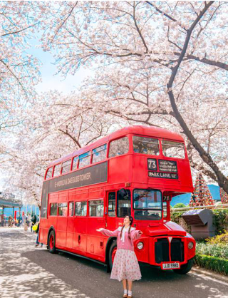 이월드-벚꽃축제-2층버스