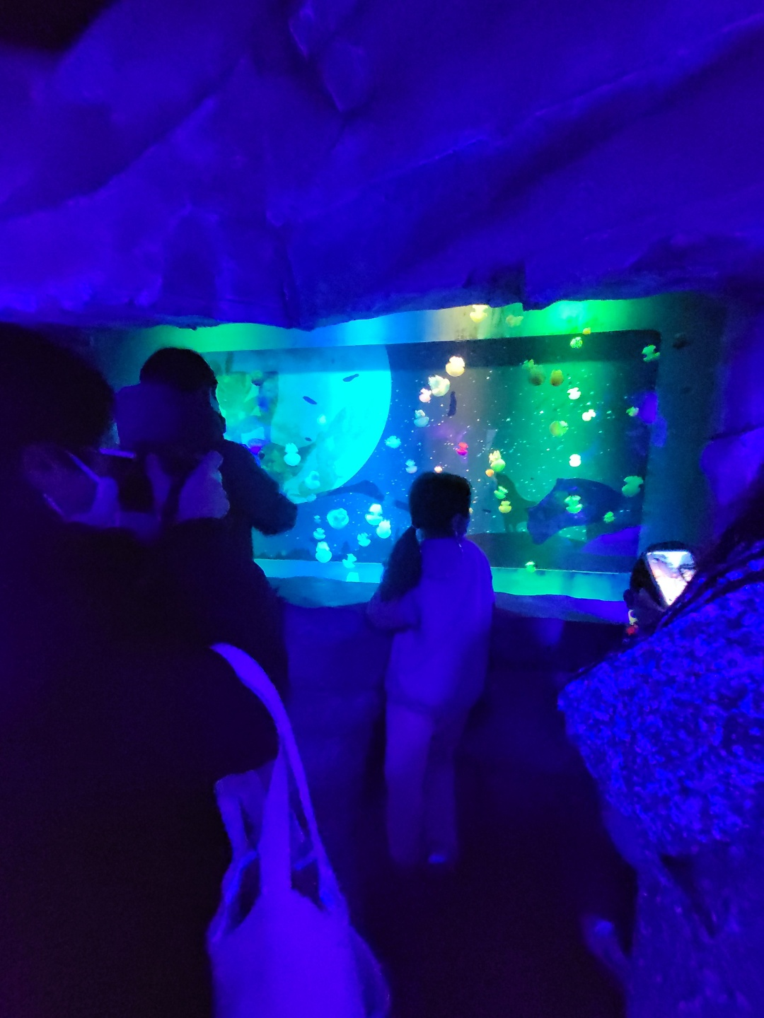 부산 아쿠아리움