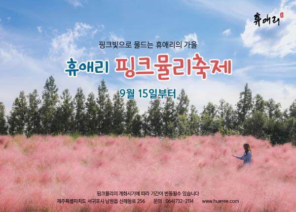 휴애리핑크뮬리축제