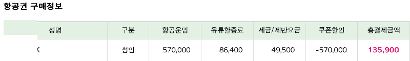 민트패스 발권내역