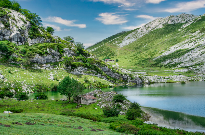 자연과의 동행: 대자연 속 힐링 여행