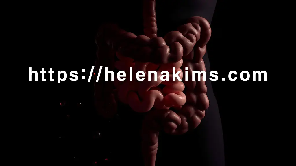 어둡고 깊이감 있는 배경에, 인체 대장의 섬세한 내부 구조가 추상적인 형태로 표현, 어두운 붉은색 또는 검붉은색의 미세한 액체 방울이 은은하게 스며드는 모습.