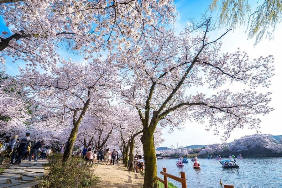 경주 가볼만한 곳