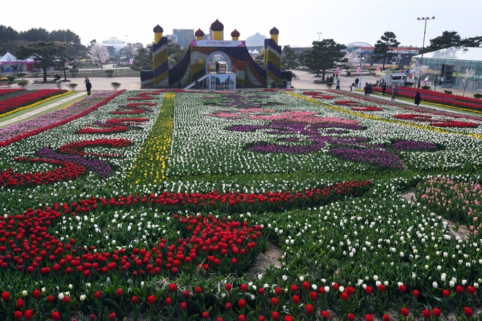 태안 튤립축제