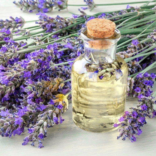 천연 오일의 종류와 효능