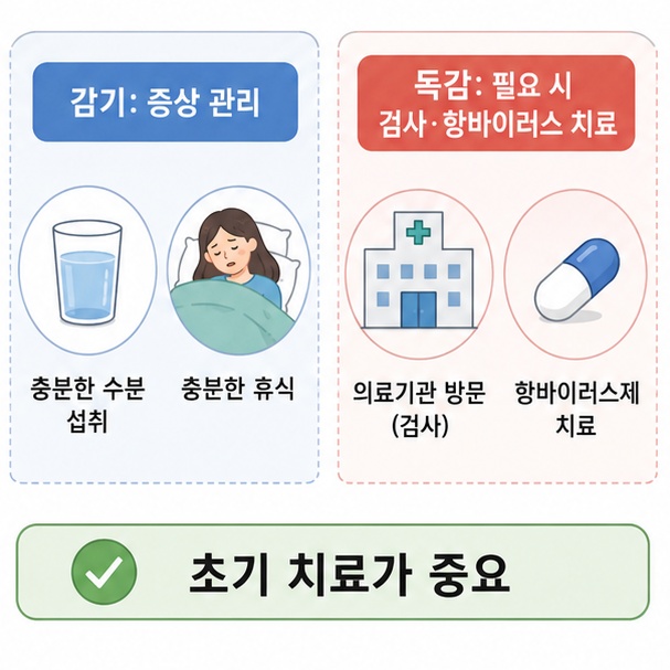 감기는 증상 관리, 독감은 필요 시 검사와 항바이러스 치료가 이용될 수 있음을 정리한 이미지