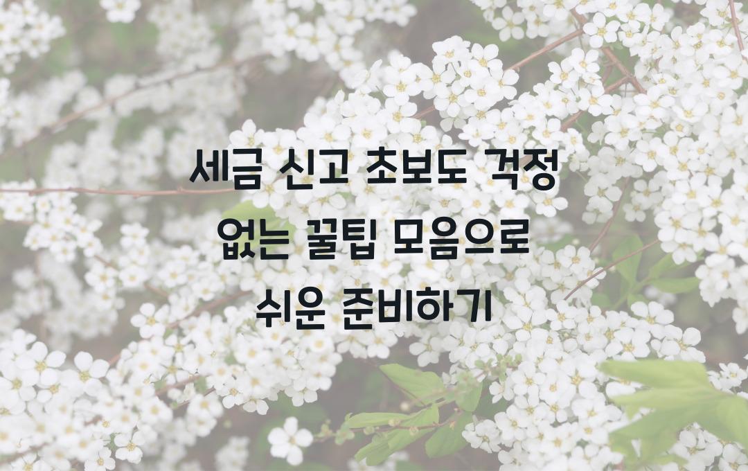 세금 신고 초보도 걱정 없는 꿀팁 모음