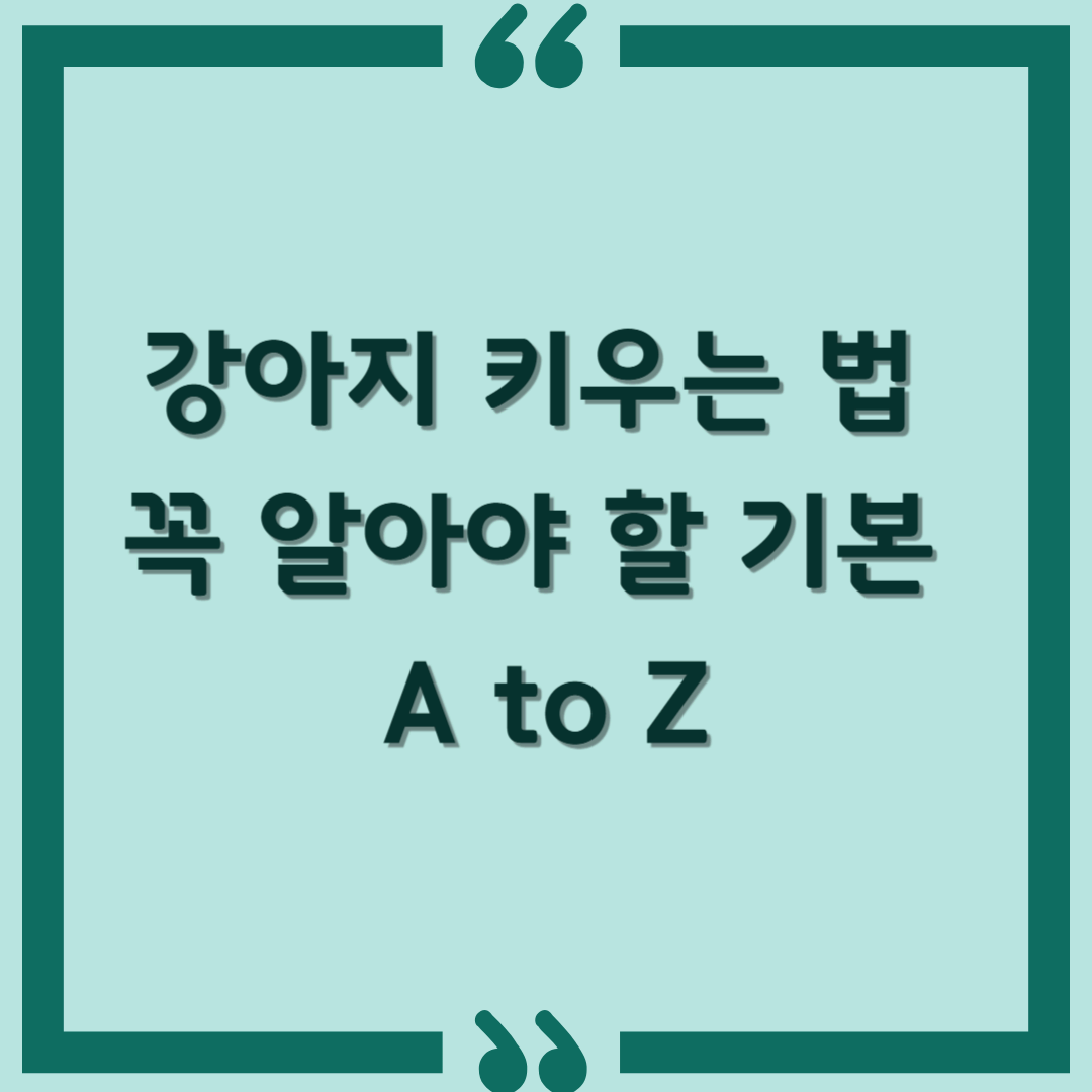 강아지 키우는 법, 처음이라면 꼭 알아야 할 기본 A to Z