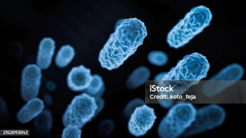 치매와장내유산균