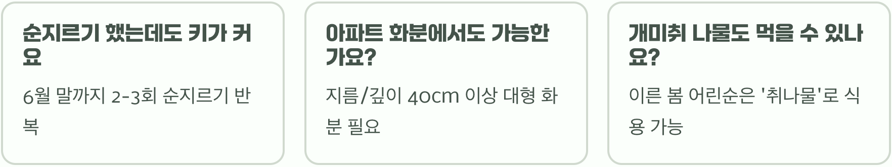 초보 정원사를 위한 개미취 키우기, 씨앗 파종부터 월동까지 A to Z