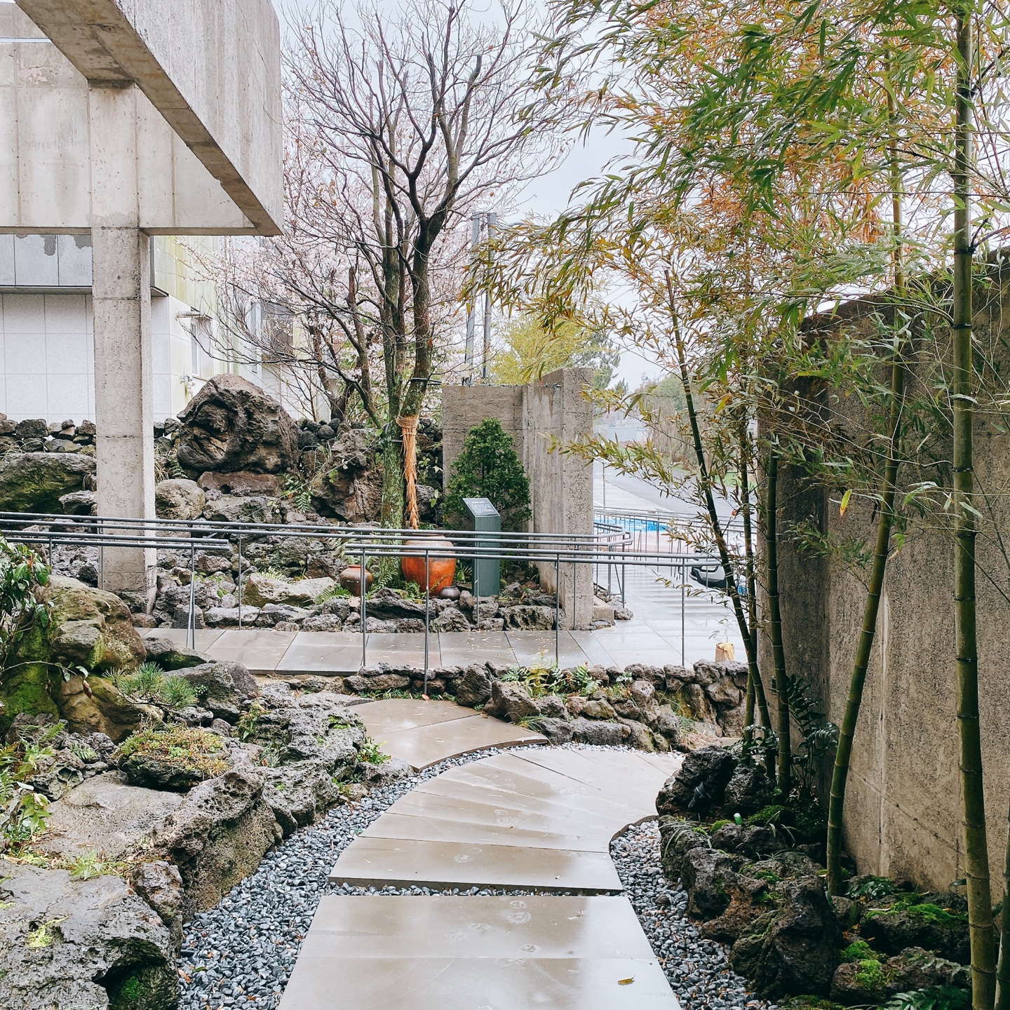 제주 신비마을 도깨비도로 벚꽃명소 레크레 카페