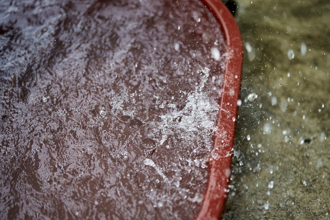 Frozen food.