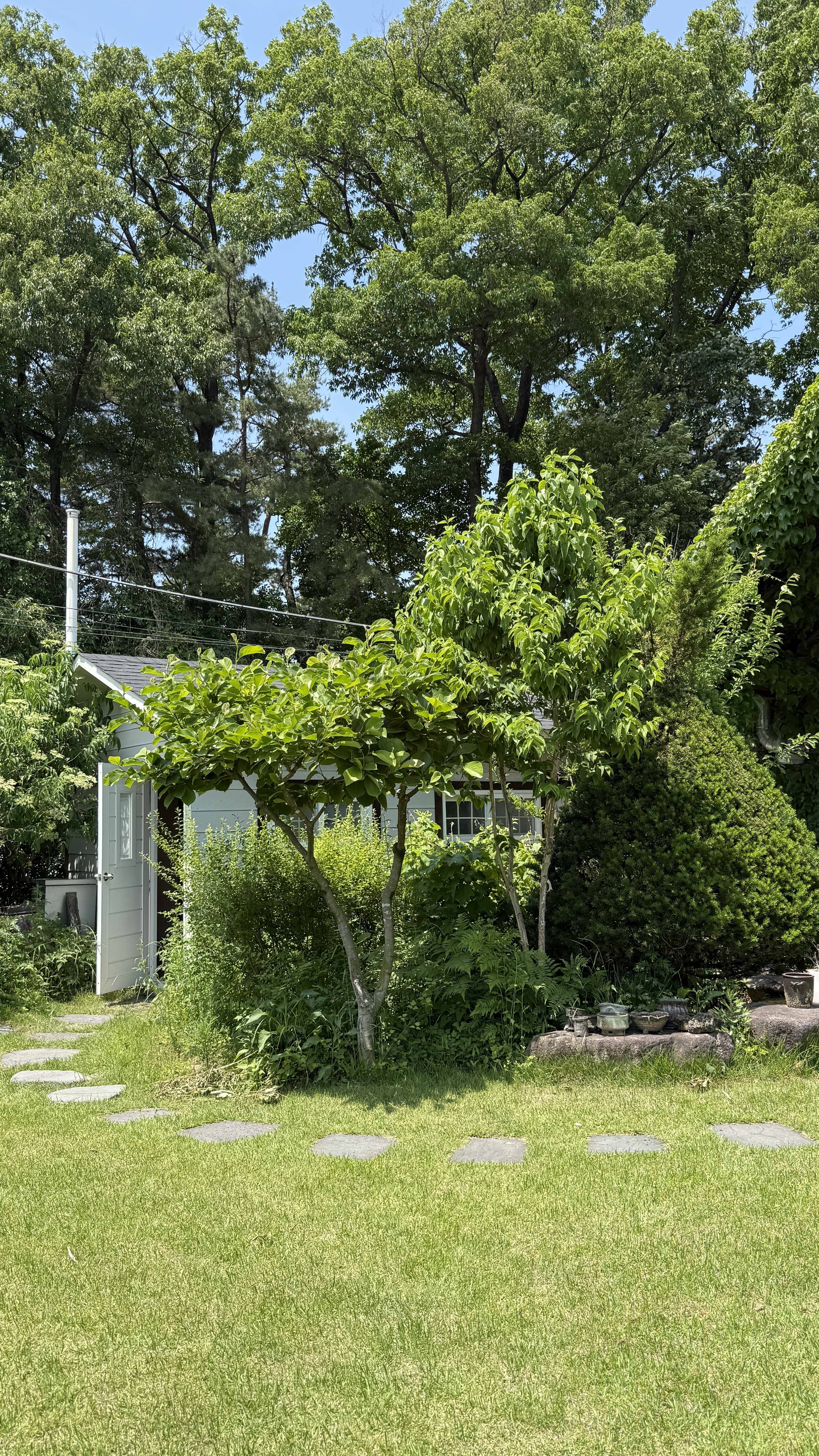 강원도 횡성 맛집_채림의 정원