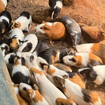 제주 비올때 가볼만한 곳