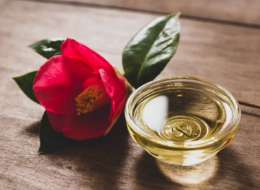 겨울 꽃 동백나무-동백기름