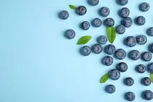 블루베리