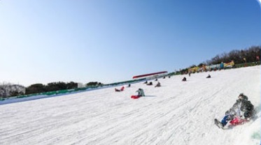 서울랜드 자유이용권 카드 할인 예매 혜택 가격 눈썰매장 빙어낚시 크리스마스 마켓 불꽃놀이 가는 길 총정리