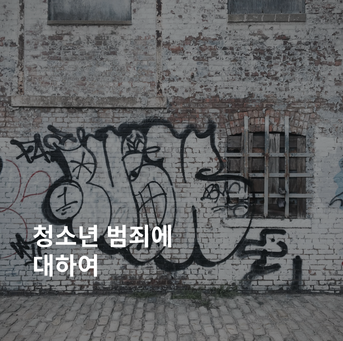 마약 변호사, 마약전문 변호사
