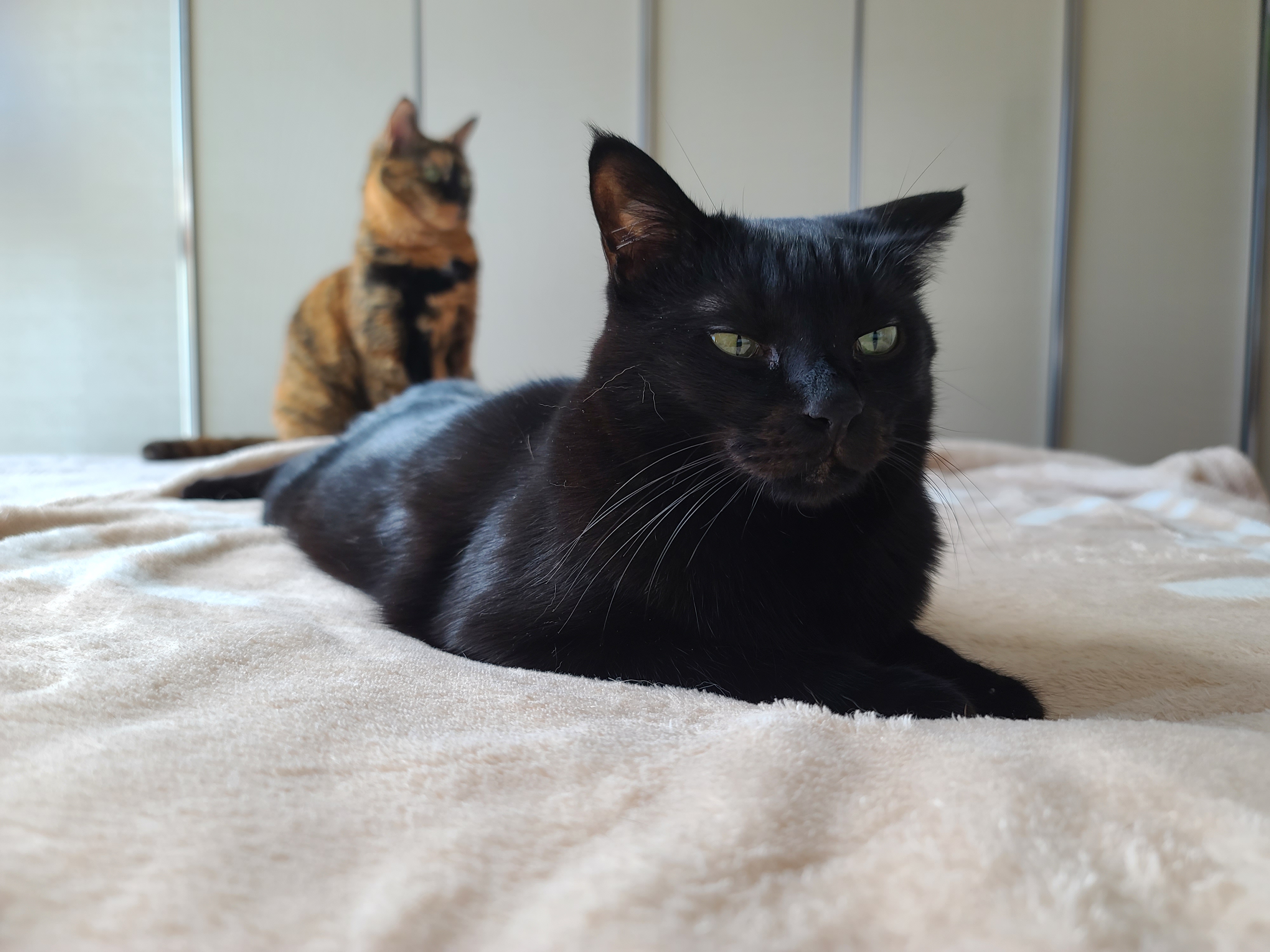 건아 멋있는거, 카리스마 있는거 전부 니가 다해