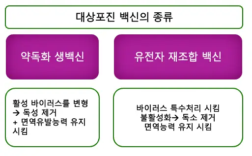 대상포진 백신의 종류와 요약표 입니다.