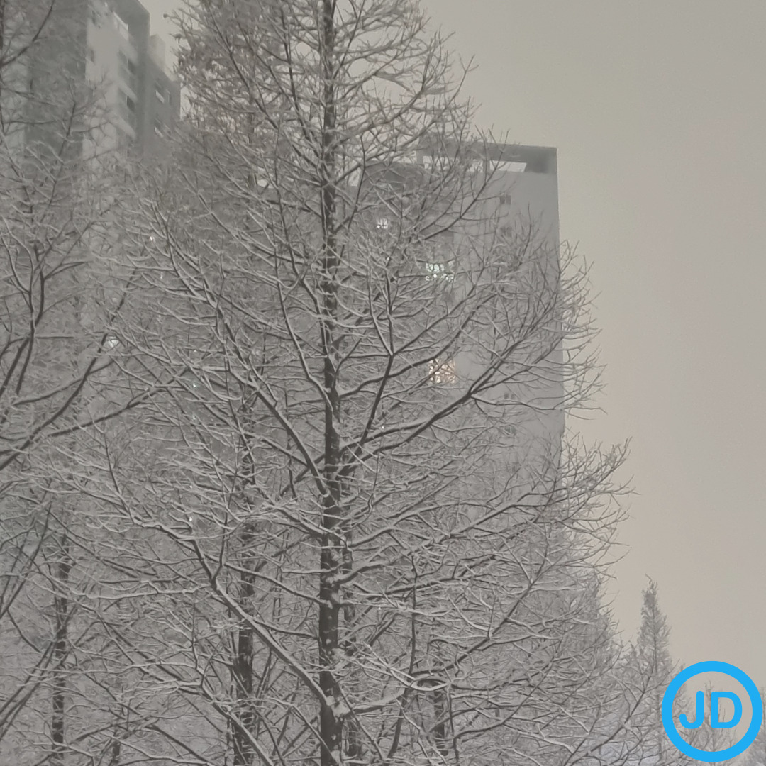 &ldquo;도로교통사고감정사 자격증 완전정리 &ndash; 시험일정&middot;과목&middot;합격률부터 진로&middot;연봉까지 한눈에 보기&rdquo;