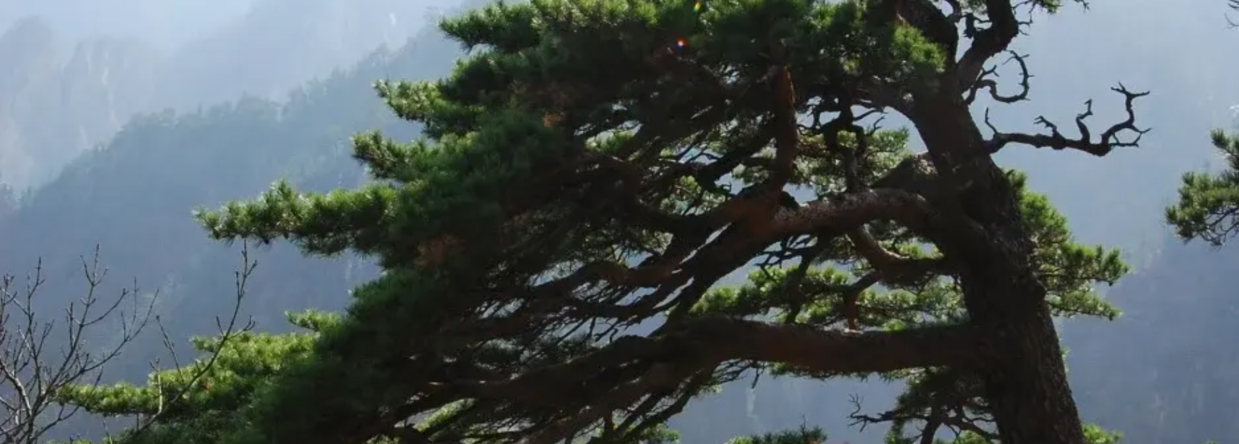 설악산 케이블카 운행시간 예약 방법