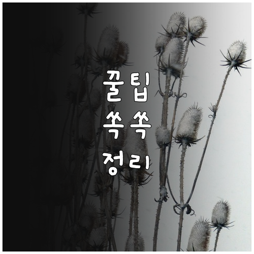 광명시 2025 경로당 방문건강관리 ..
