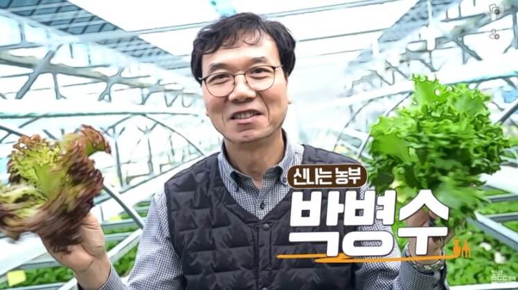 생방송투데이 환승직업 두 번째 인생 충주 쌈 채소 농장 웰팜이에이씨 쌈채소 스마트스토어 주문방법
