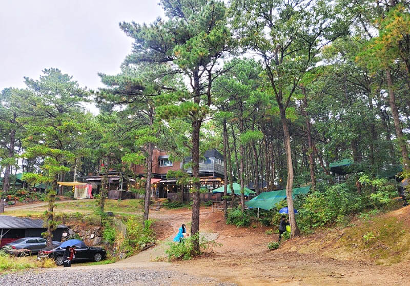 파주 느티나무그늘아래 캠핑장 소개