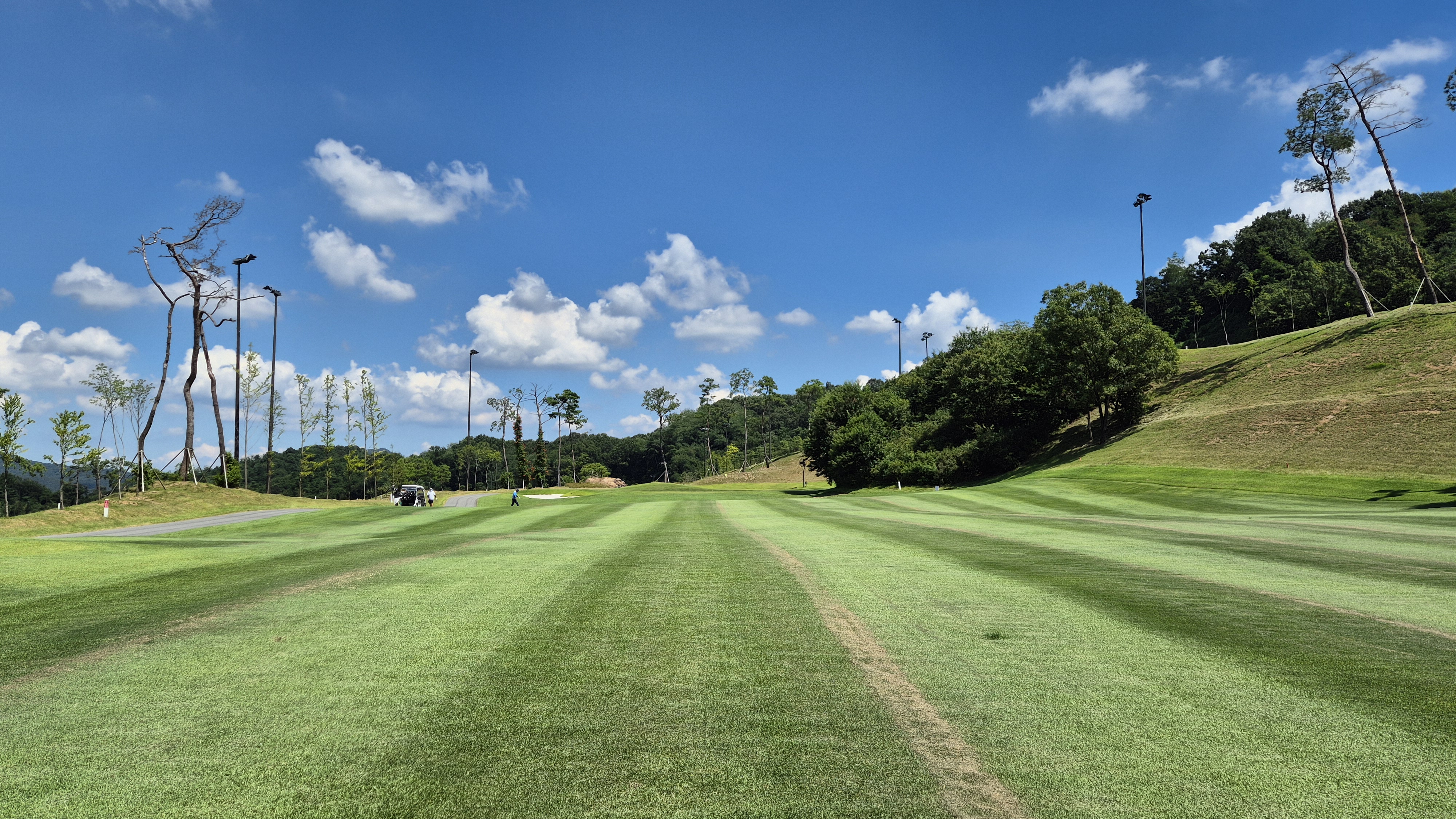 힐데스하임cc 밸리-레이크 코스 사진 및 공략 방법