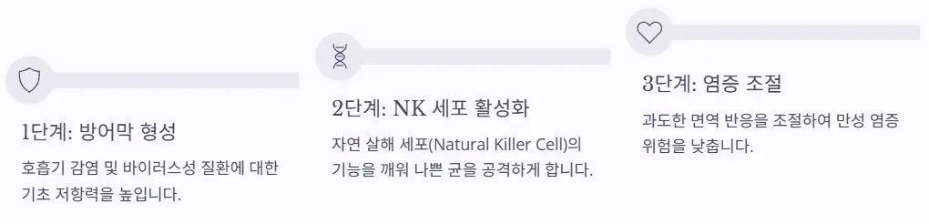 면역시스템