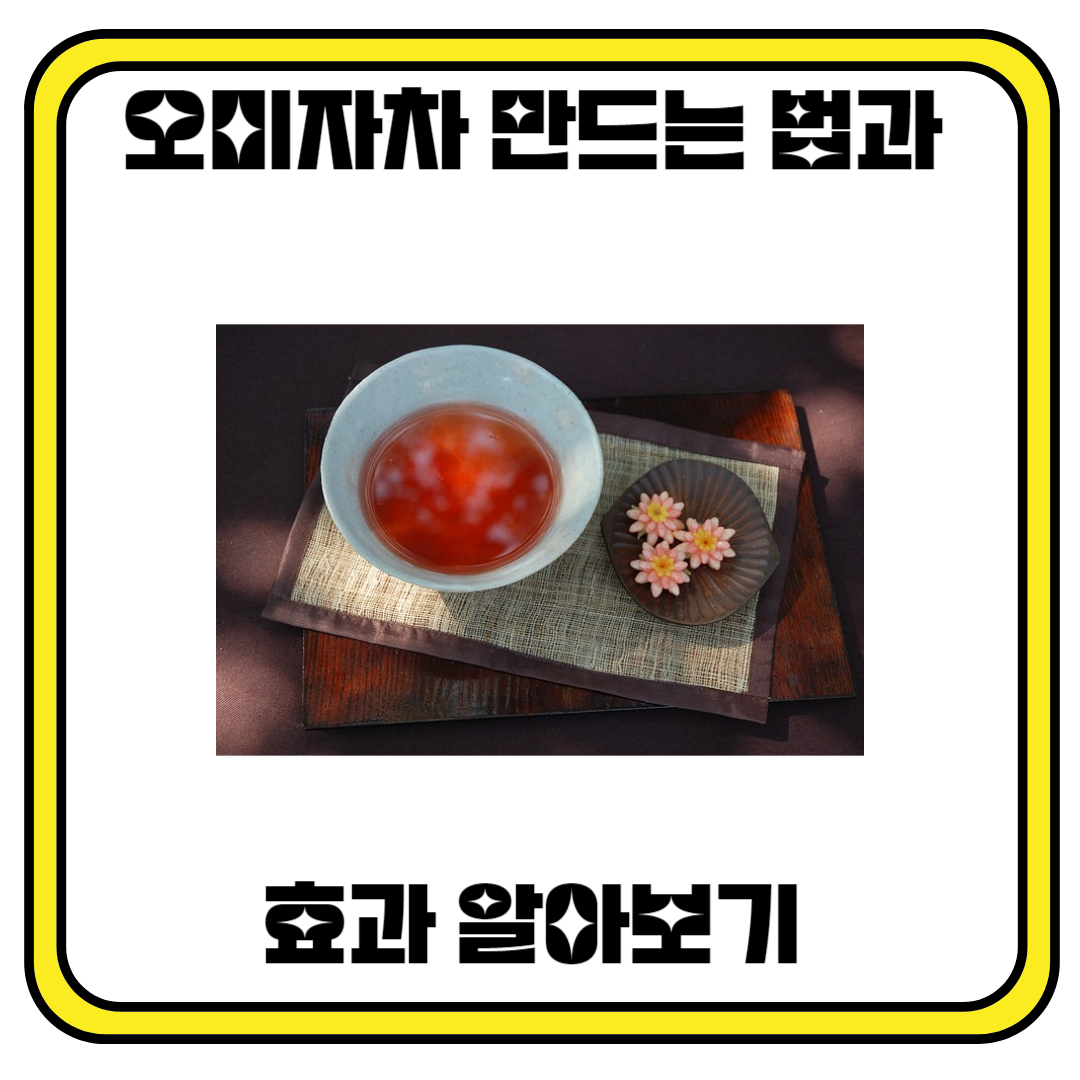 오미자차 만드는 법과 효과
