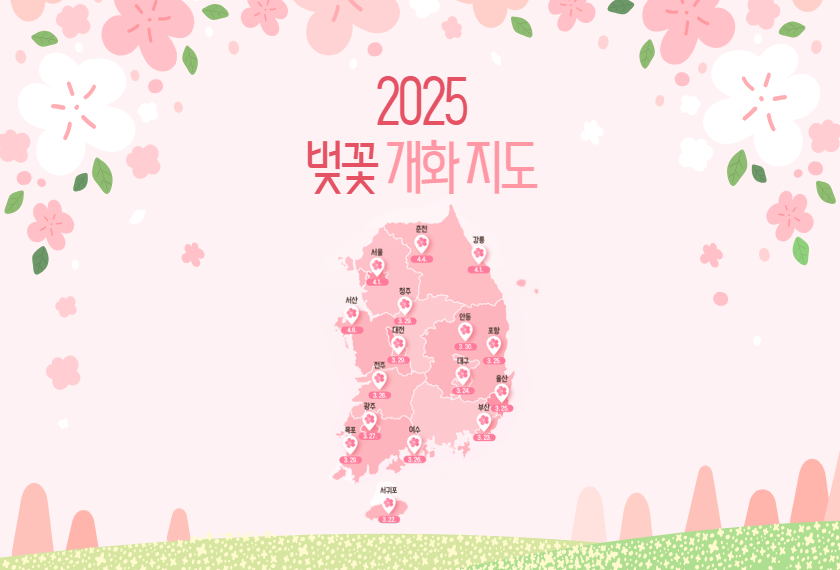 2025 진해군항제 벚꽃 개화 시기