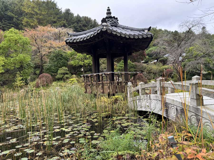 가을빛 가득한 아침고요수목원, 사진으로 담은 정원의 계절