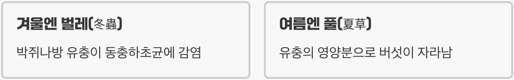 '겨울엔 벌레, 여름엔 풀'의 비밀