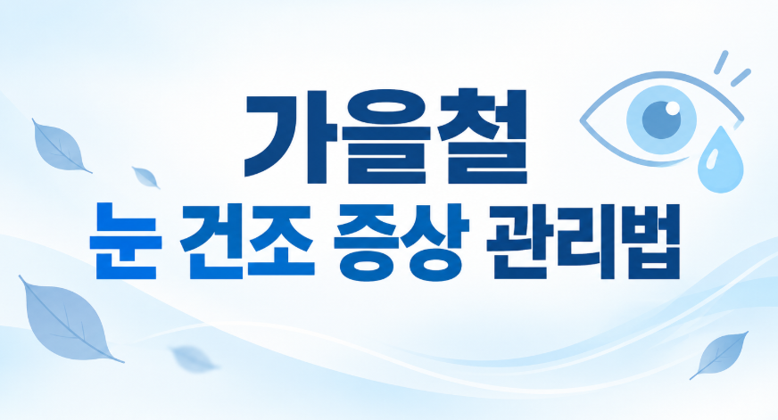 가을철 눈 건조 증상 관리법, 안구건조 심해지는 진짜 이유와 해결법