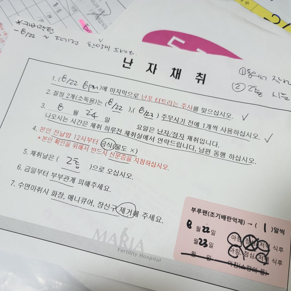 마리아-시험관시술-난자채취-안내문