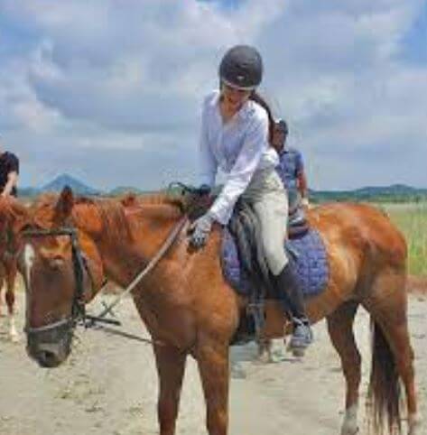 나인뮤지스 현아 낙마