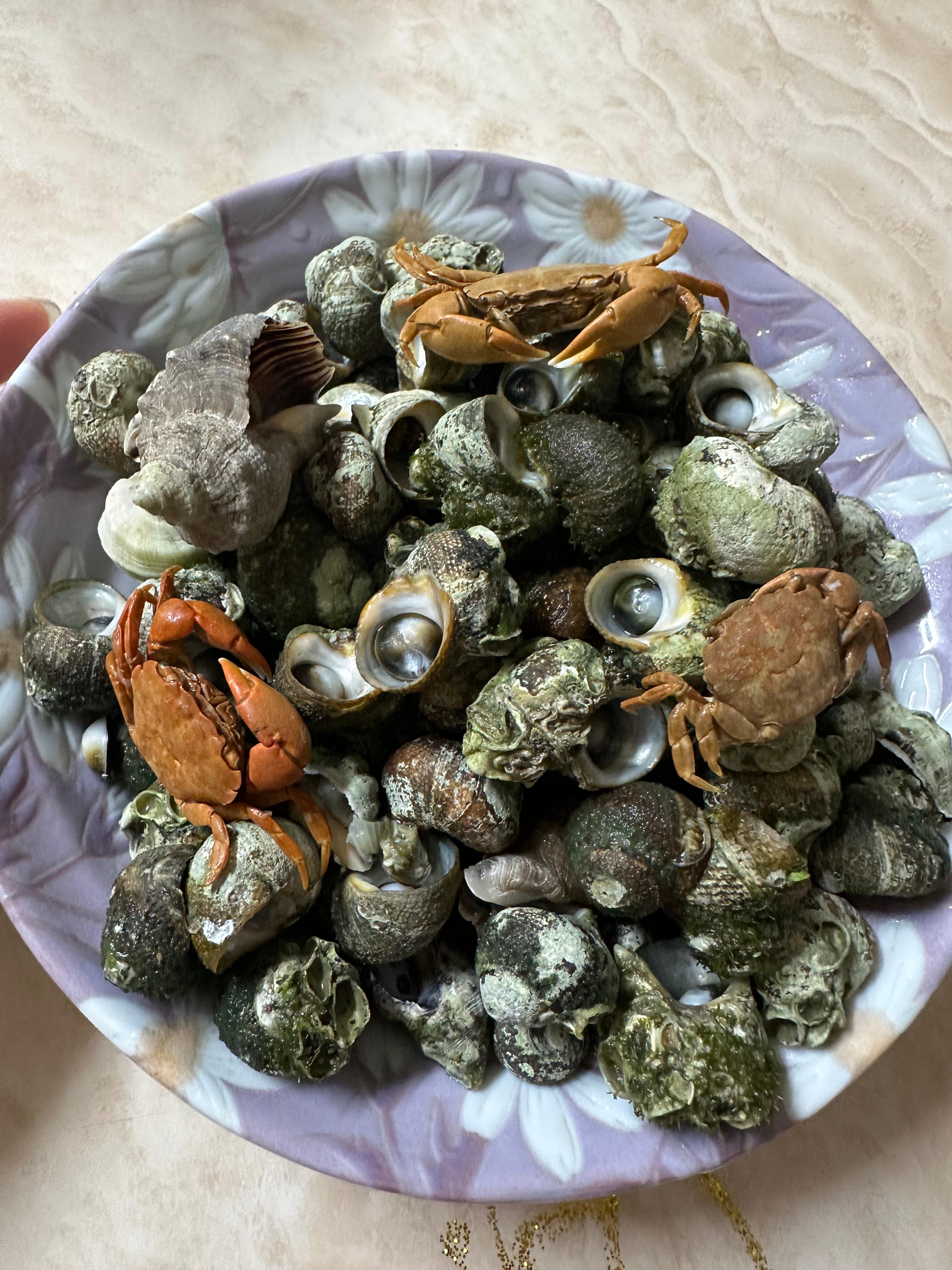 Super Simple Clam Soup Recipe(Healthy clam soup, fresh clams and horn snails, ultra-simple and light, full of rich ocean flavor, mudflat experience in Muchangpo, Boryeong, South Chungcheong, boiling horn snails and small clams, healthy homemade meal, easy soup recipe)
