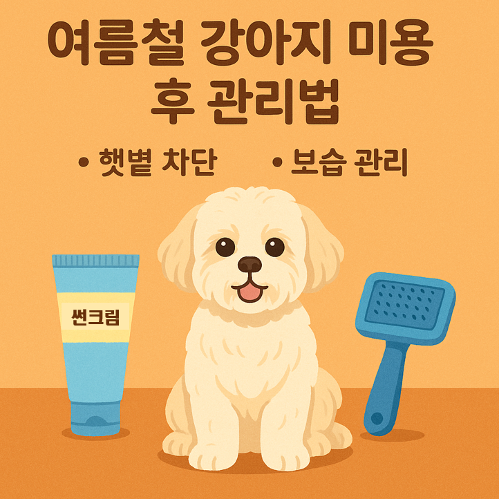 여름철 강아지 미용 이미지