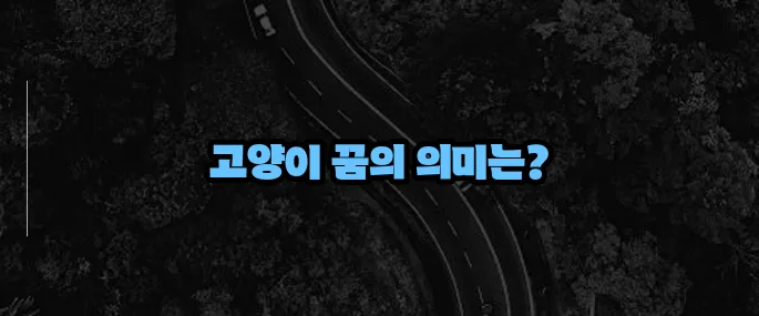 고양이 꿈해몽 상황별 해석 (+길몽·흉몽 구분)