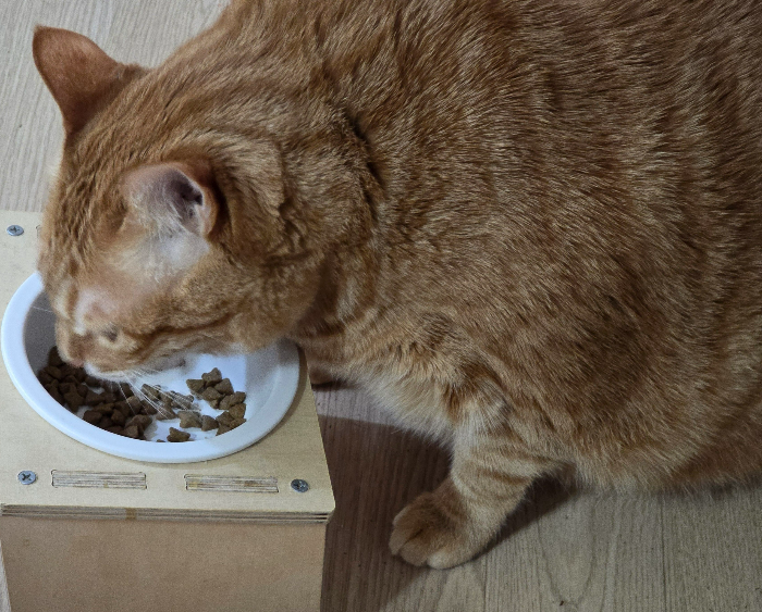 퓨리나 캣 프로플랜 실내묘 헤어볼7