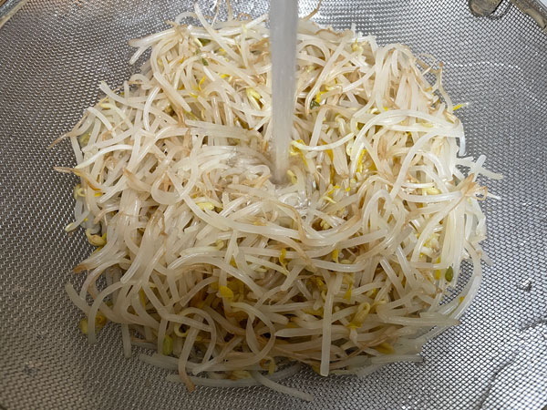 숙주 찬물 샤워