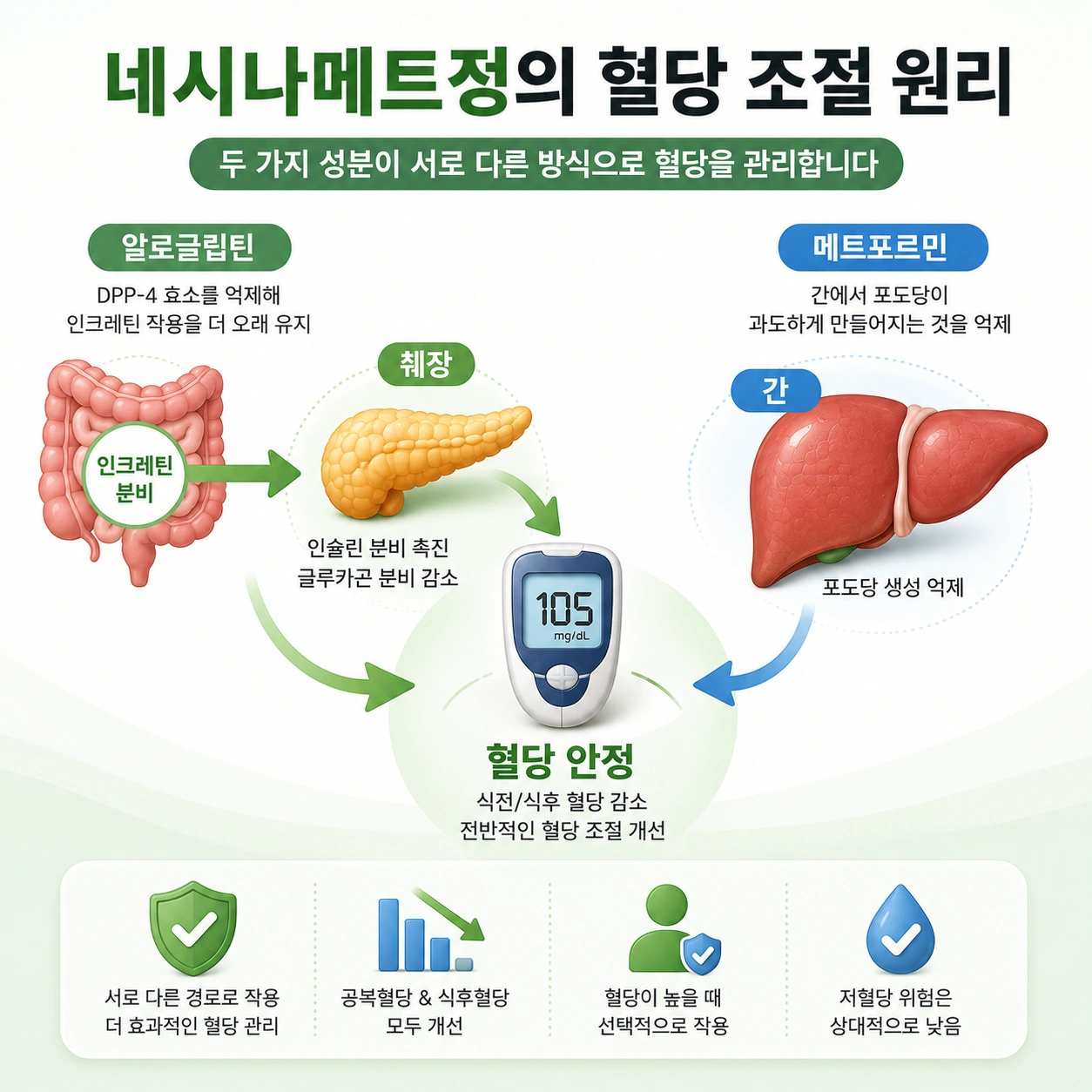 네시나메트정_본문2_혈당조절원리