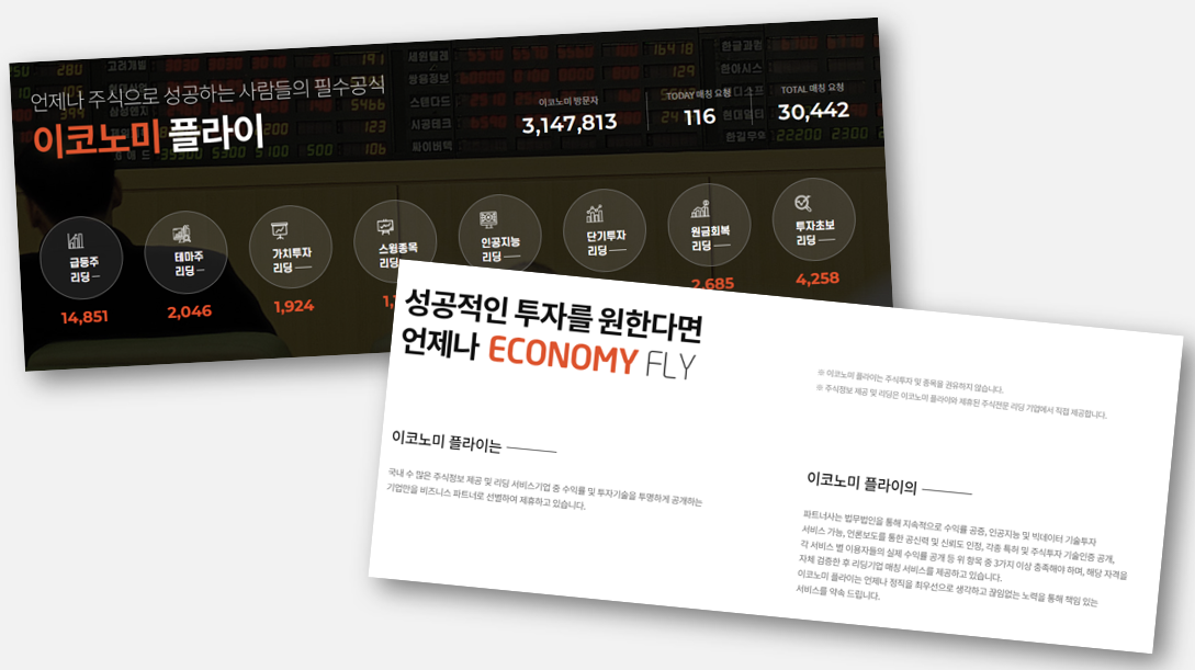 이코노미 플라이