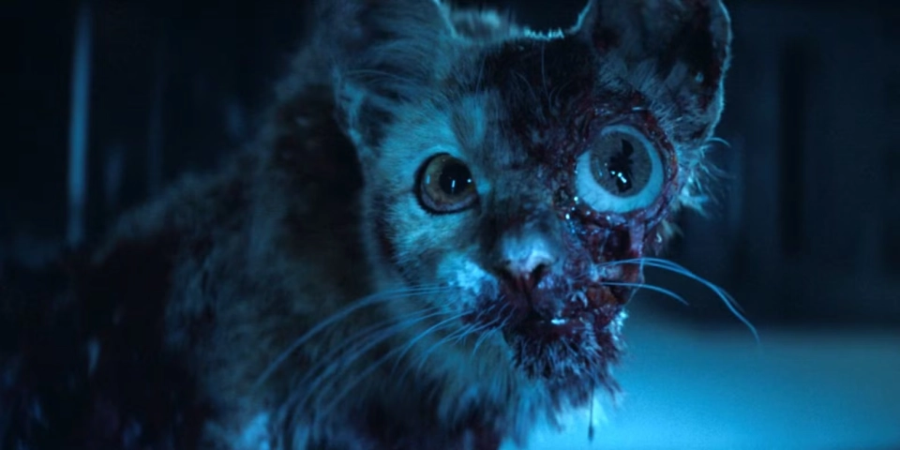 에어리언 어스 2화 관련영상 및 추천링크